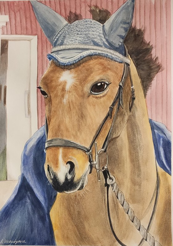 Comission horse portrait.