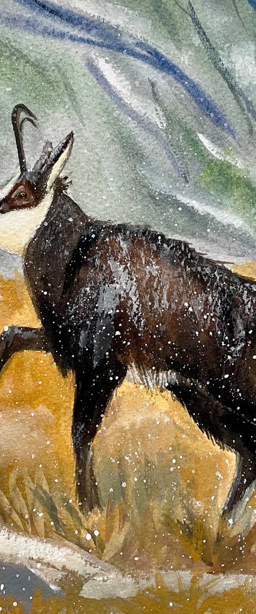 Goat Watercolor Painting, Chamois Artwork, Mountain Wall Art, Nursery Decor, Kids Room Art by Kate Grishakova