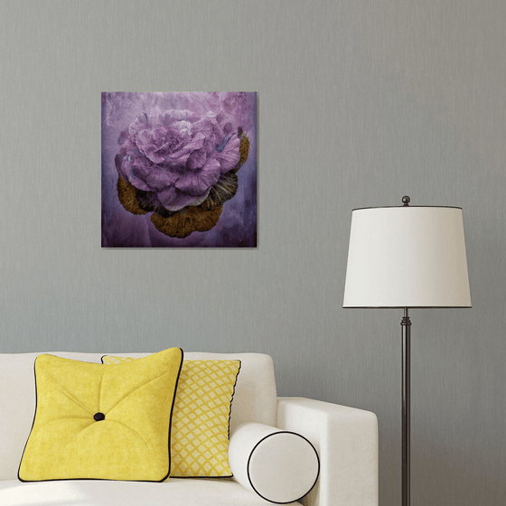Purple Cabbage