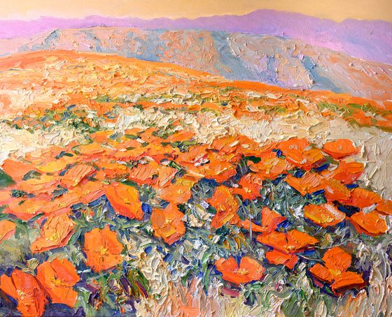 California Poppies , Morning