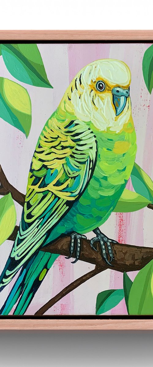 Budgie Beauties: Sunny by JULIE LYNCH