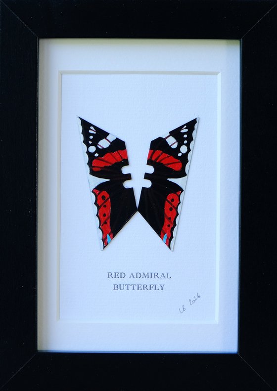 Red Admiral butterfly