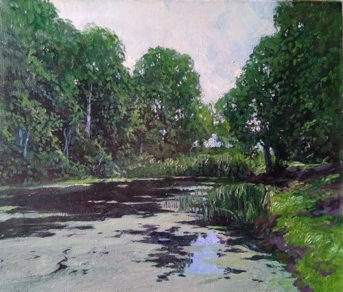 Overgrown pond by HELINDA (Olga Müller)