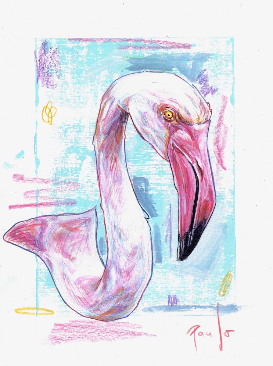 Photorealistic Animal Pencil Drawing By Paul Ward, 8 X 12", Greater Flamingo, Original Artwork