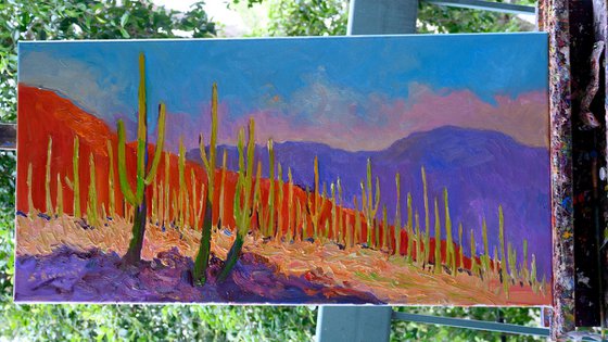 Before the Evening. Saguaros