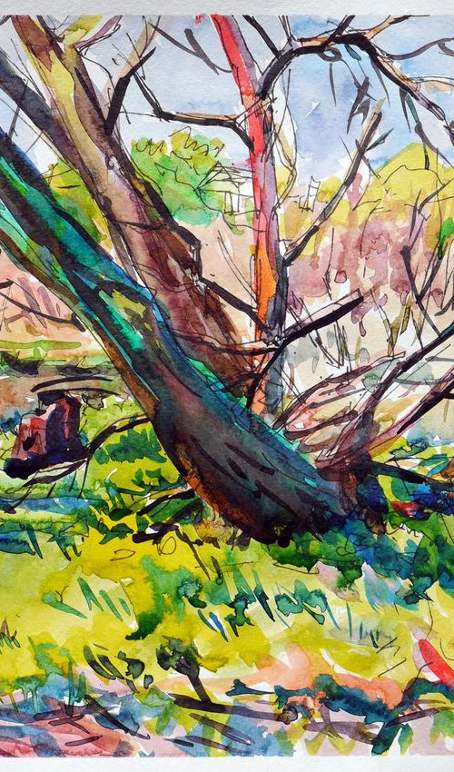 Trees by a water ( plein air), ink by Dima Braga