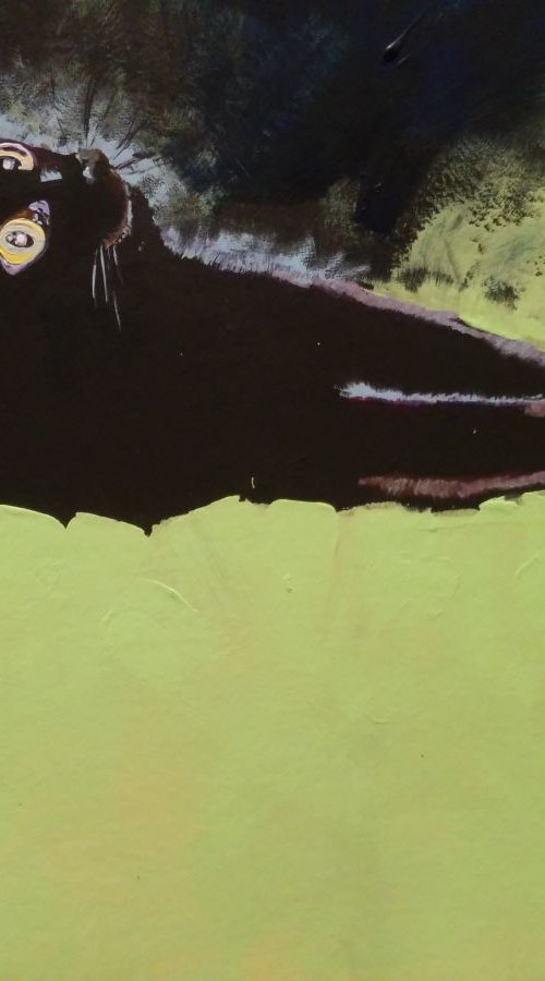 Black Cat Etude I by Jelena Nova