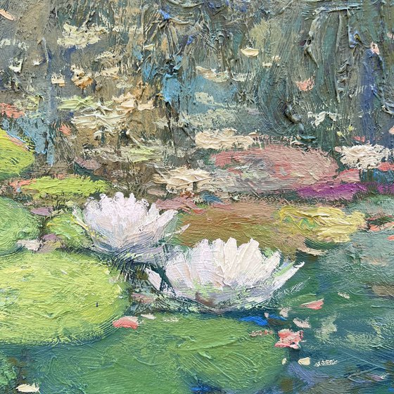 Water Lilies and Light