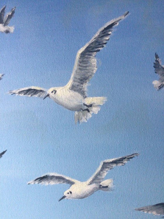 Seagulls Flying Over the Sea