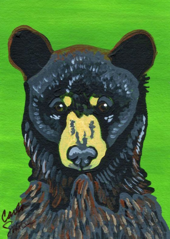 Black Bear