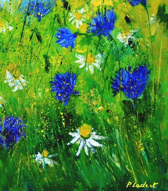 Cornflowers and daisies