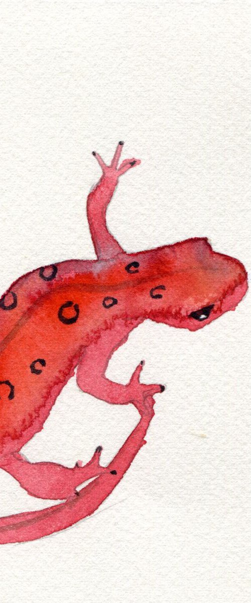 Pink Lizard by Hannah Clark