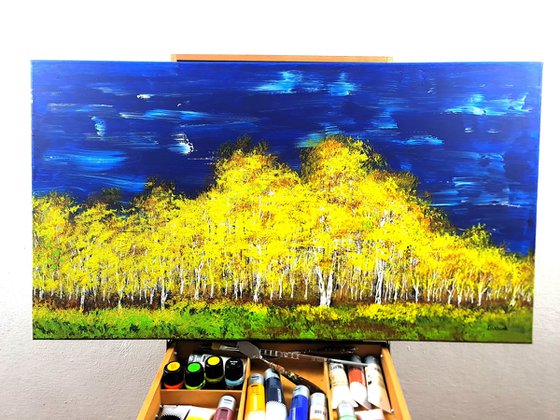 Autumn birch forest