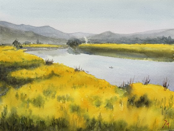 Canola fields in China