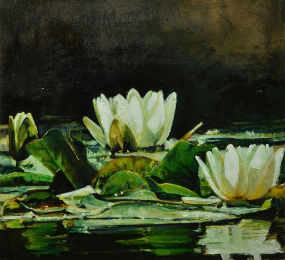 Waterlilies