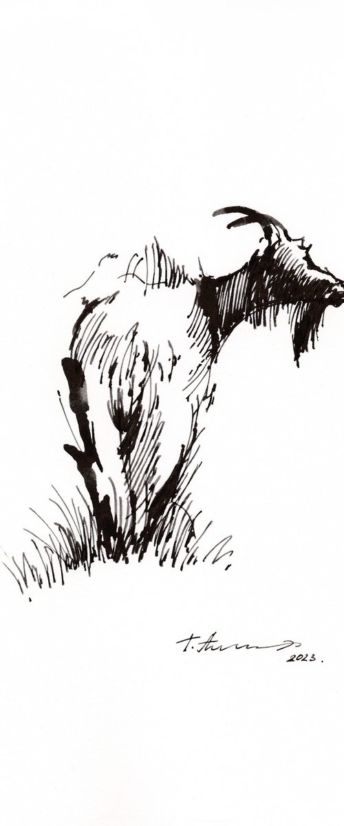 Goat staring into the distance by Tatiana Alekseeva