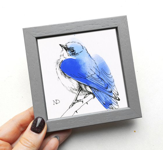 Bluebird drawing framed 4x4, Original ink line drawing sketch bird in framed artwork, Shelf decor ideas gift