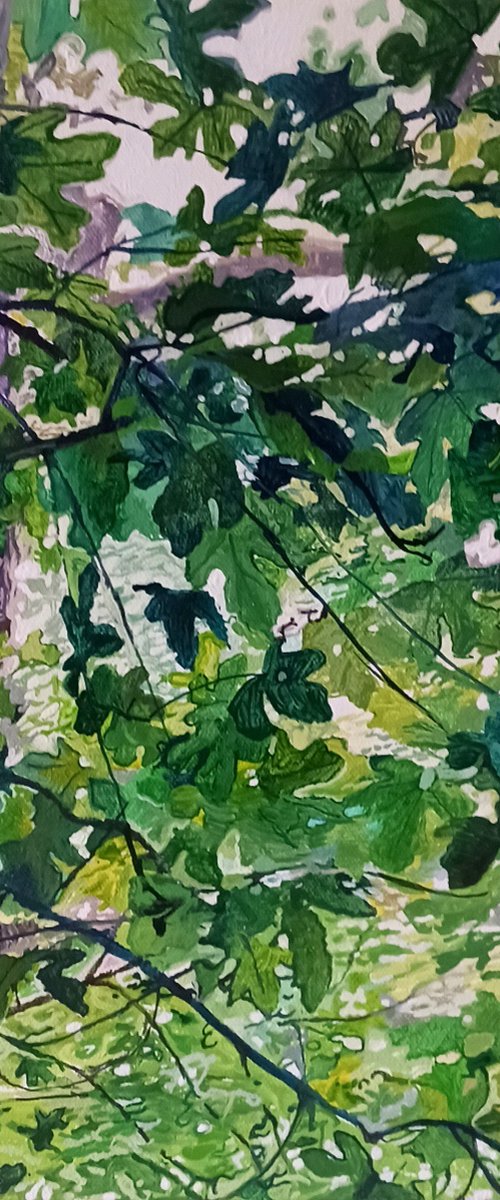 Among the Trees 4 by Imogen Skelley