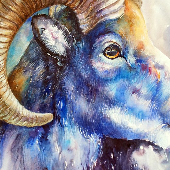 Blue Bighorn