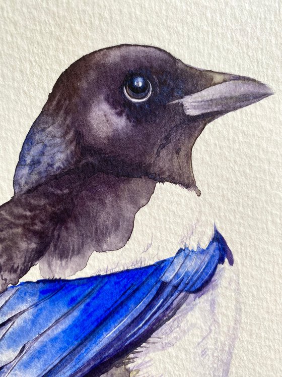 Watercolour bird magpie sitting on a branch in the rays of the sun 4