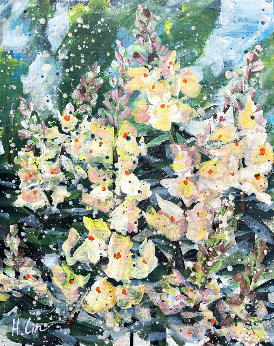 Capturing the Beauty of Life - Antirrhinum Apricot Snap in Black by HSIN LIN