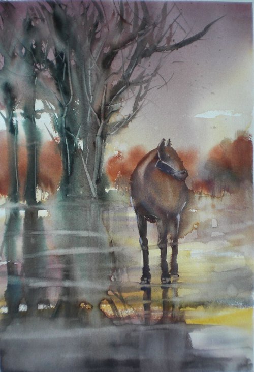 horse by Giorgio Gosti