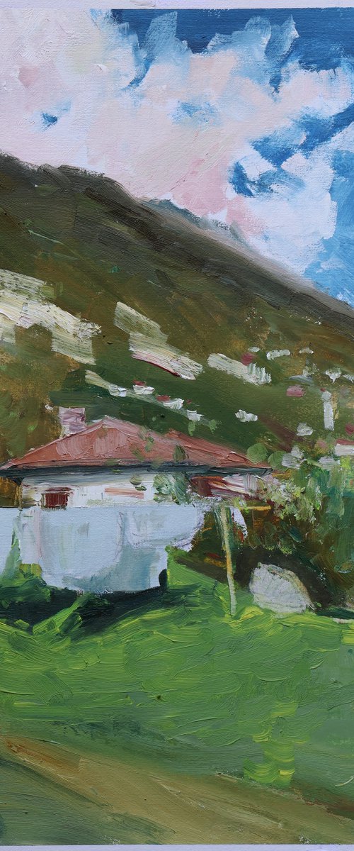 Laundry morning in Ossuccio by OLEG KAMAEV