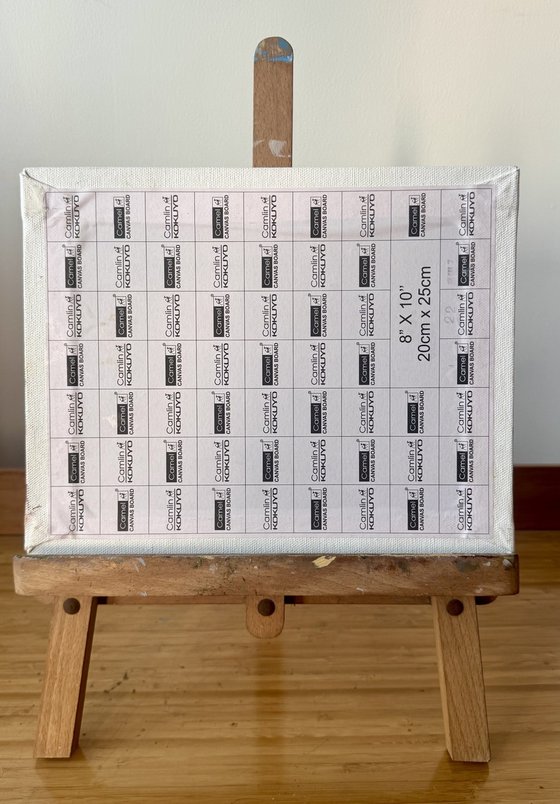 Flowers from my garden 8