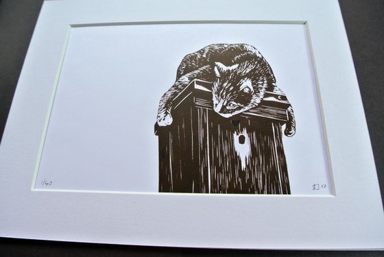 Cat Crouched on a Birds House, Print on Paper, Mounted