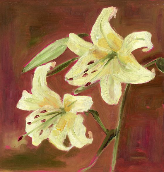 Lilies 1