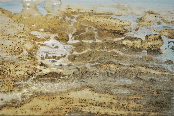 Longing  - Abstract Art - Acrylic Painting - Canvas Art - Abstract Painting - Modern Seascape -  Statement Painting