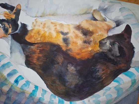 A pair of Abyssinian cats (watercolor painting)