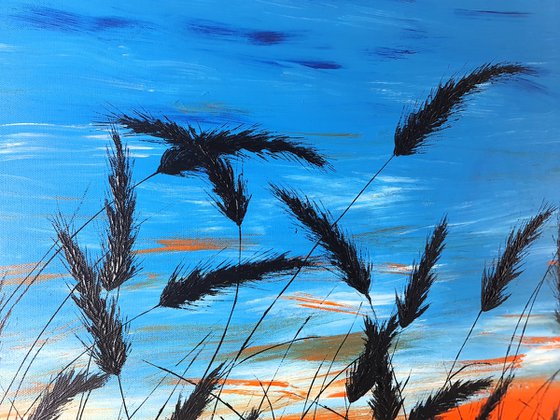 Sunset in the grass