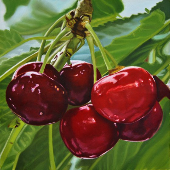 Cherries painting, Original oil on canvas realistic art