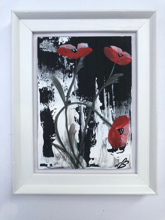 Red poppies in a frame