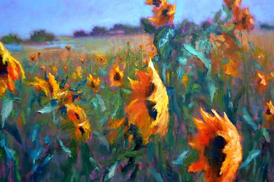 Sunflowers 97X170