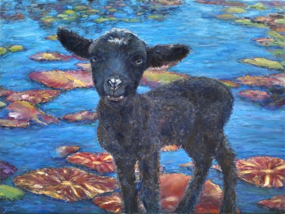 Black Sheep at The Pond