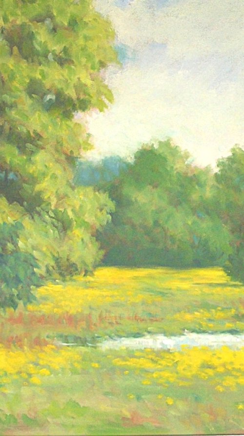 Field with Yellow Flowers by Michael Gillespie