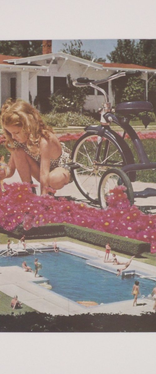 A Secret Garden by Paper Draper