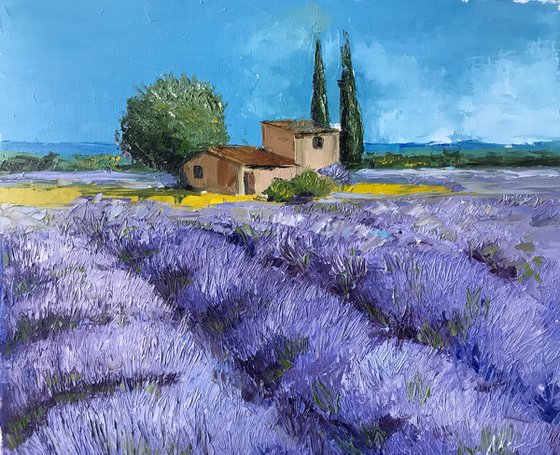 Provence lavender fields oil painting