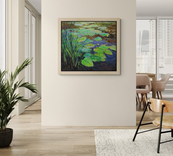 Water lilies pond