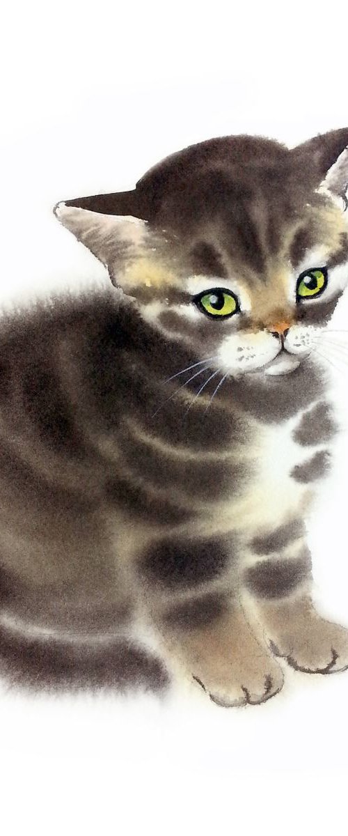 Fluffy Tabby Kitten #4 - Tabby by Olga Beliaeva Watercolour
