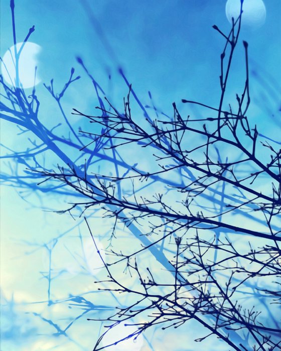Winter - A3