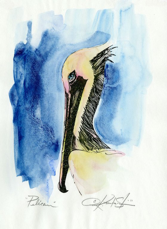 Pelican - Watercolor Painting  by Kathy Morton Stanion