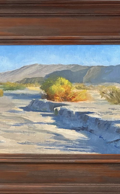 Coachella Valley by David Block