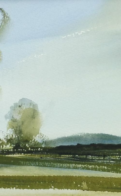 GREEN MEADOWS SUMMER LANDSCAPE, Clent, Worcs. Original Watercolour with mount (mat). by Tim Taylor