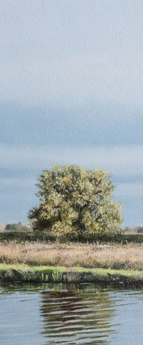 Autumn Evening Tree by Christopher Witchall