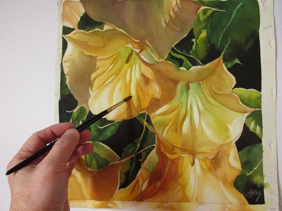 golden brugmansia