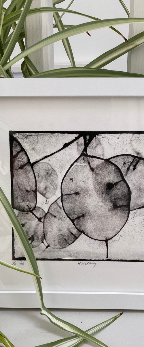 Honesty by Diane McLellan