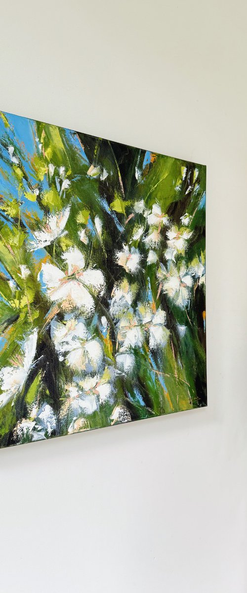 This Fleeting Beauty by Sue Rapley